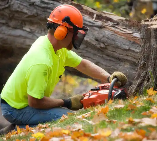 tree services Versailles